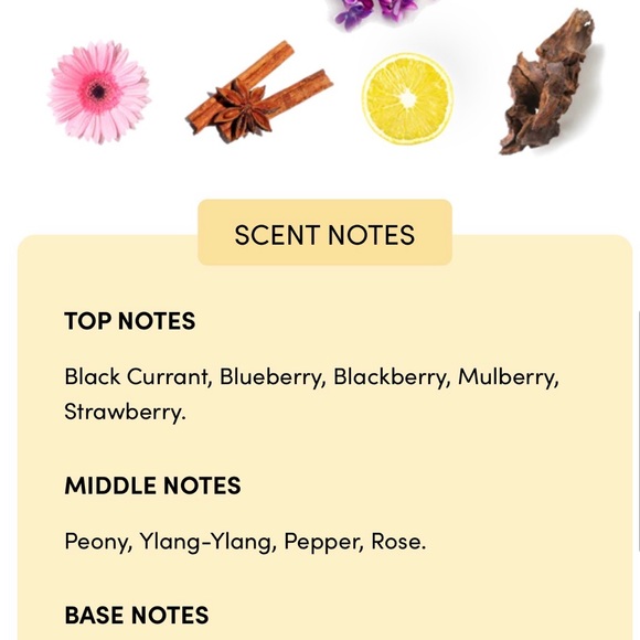 LALIQUE Amethyst Perfume Bottle NEW IN BOX - Picture 3 of 4